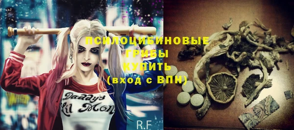 прущие грибы Алексеевка