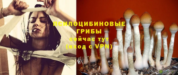 прущие грибы Алексеевка
