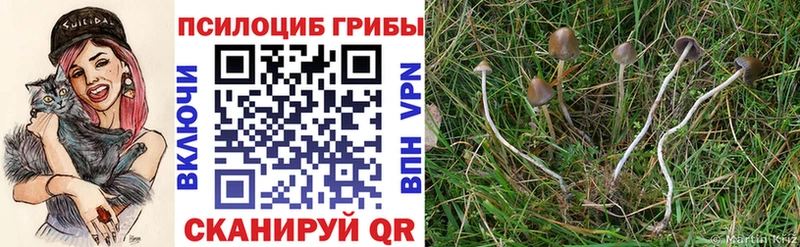 Галлюциногенные грибы прущие грибы  Лихославль 